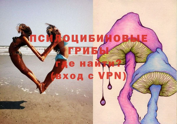СК Богородск