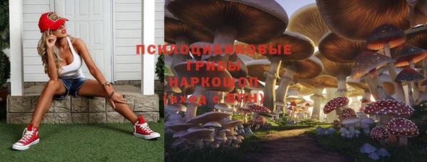 гашиш Богородицк
